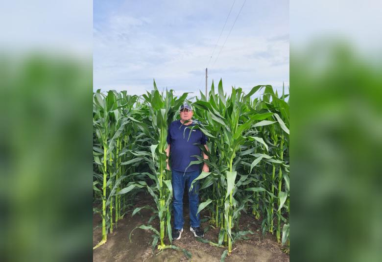 Oetken stands between two rows of corn, the stalks of which are about a foot taller than he is.